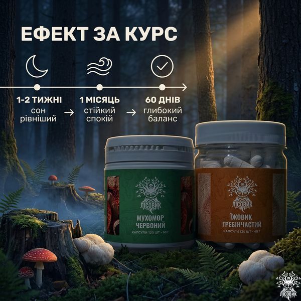 Курс Антистресс: Мухомор и Ежовик (2 месяца) Микродозинг фото