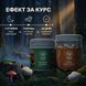 Курс Антистресс: Мухомор и Ежовик (2 месяца) LIS-470004 фото 4