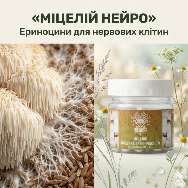 Мицелий ежовика гребенчатого в капсулах 60 шт по 0,5 г Микродозинг фото