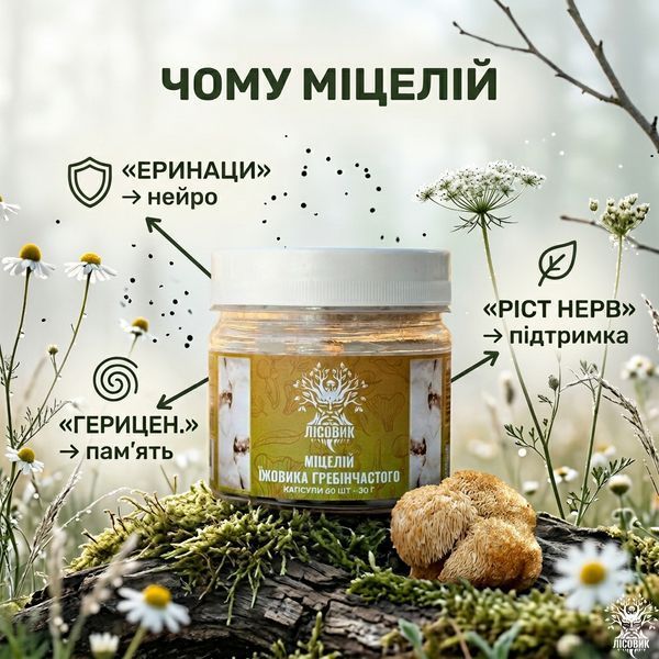 Мицелий ежовика гребенчатого в капсулах 60 шт по 0,5 г Микродозинг фото