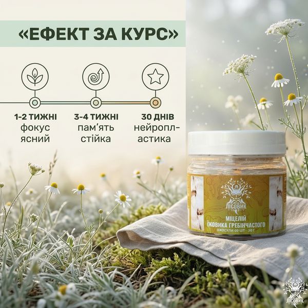 Мицелий ежовика гребенчатого в капсулах 60 шт по 0,5 г Микродозинг фото