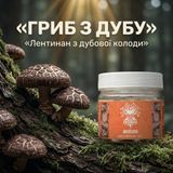 Мікродозинг Шиїтаке, капсули 60 шт по 0.4 г Мікродозинг фото