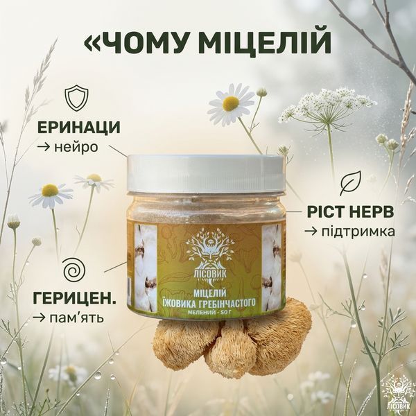 Міцелій їжовика гребінчастого, мелений 50 г Мікродозинг фото