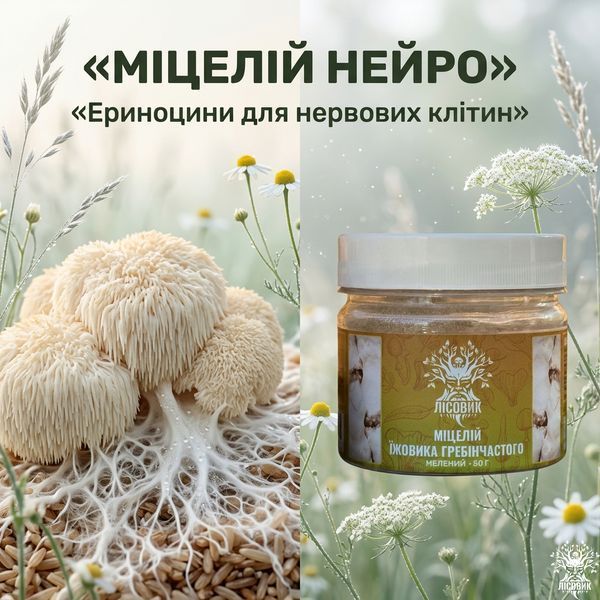 Міцелій їжовика гребінчастого, мелений 50 г Мікродозинг фото