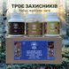 Курс Immunity Guard: Усиление иммунитета (2 месяца) LIS-482754 фото 2