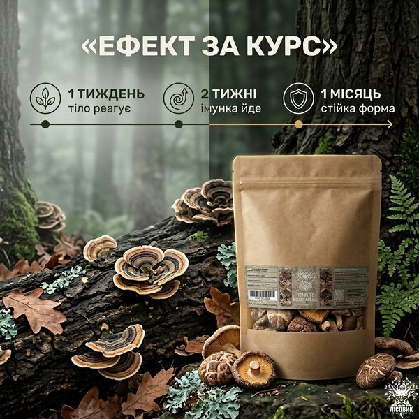 Траметес різнобарвний, сушений гриб 50 г, Лісовик &mdash; фото товару