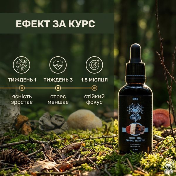 Комплекс рідких екстрактів MIND для розумової активності, 50 мл Мікродозинг фото