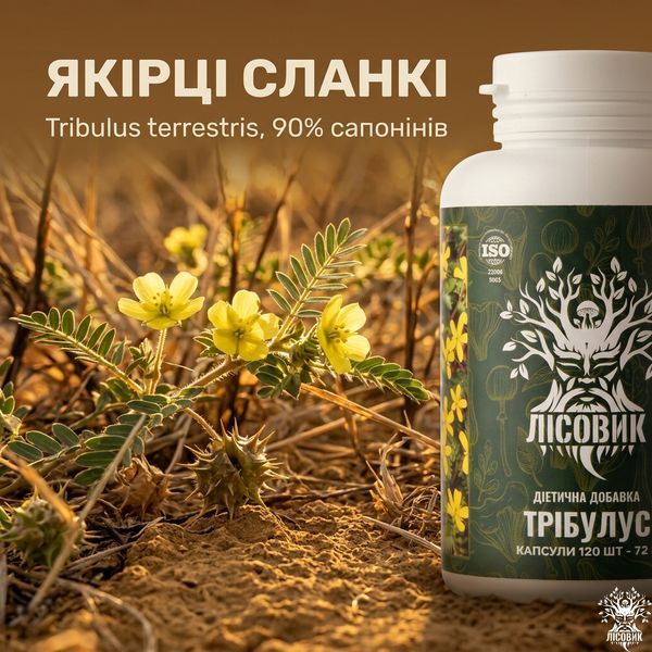 Трибулус, экстракт, капсулы 120 шт по 0.6 г, Лісовик &mdash; фото товара