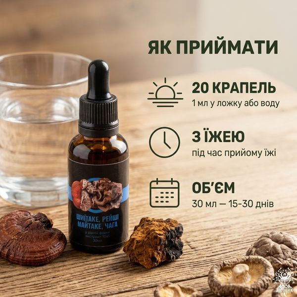 Комплекс жидких экстрактов GASTRO для улучшения работы ЖКТ, 30 мл, Лісовик &mdash; фото товара