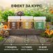 Курс Intuitive Eating: Для усвідомленого харчування (1 місяць) LIS-482763 фото 4