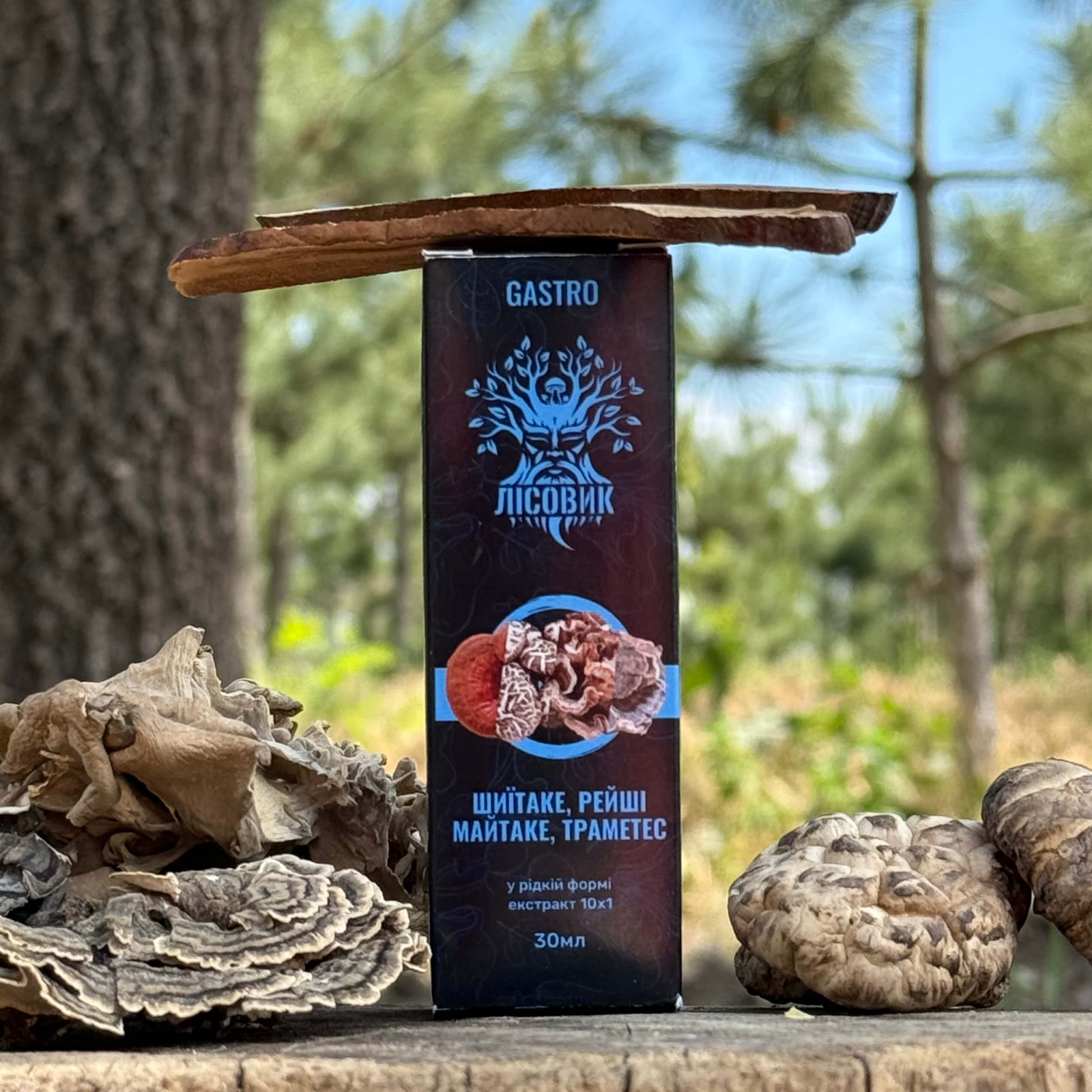 Комплекс рідких екстрактів GASTRO Лісовик для роботи ШКТ