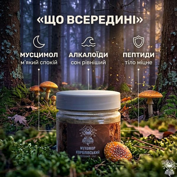 Королівський мухомор, мелений 25 г Мікродозинг фото