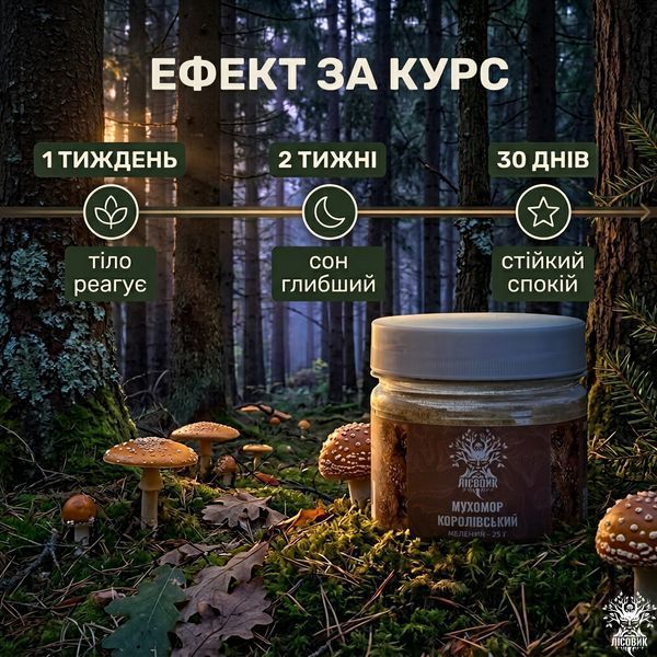 Королівський мухомор, мелений 25 г Мікродозинг фото