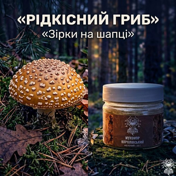 Королівський мухомор, мелений 25 г Мікродозинг фото