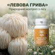 Екстракт Їжовика гребінчастого, 60 капсул по 0.5 г