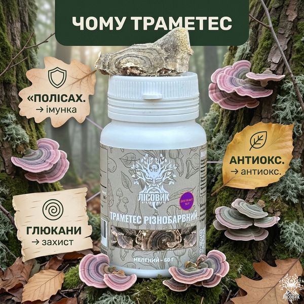 Траметес різнобарвний, екстракт 10:1, мелений 50 г Мікродозинг фото