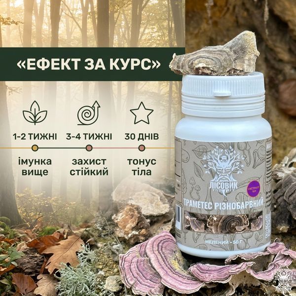 Траметес різнобарвний, екстракт 10:1, мелений 50 г Мікродозинг фото