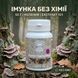Траметес різнобарвний, екстракт 10:1, мелений 50 г LIS-481503 фото 1