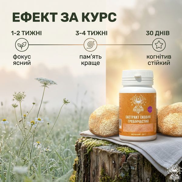 Екстракт Їжовика гребінчастого, мелений 50 г Мікродозинг фото