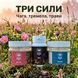 Курс WOMEN: Для молодості та краси (1 місяць) LIS-482637 фото 2
