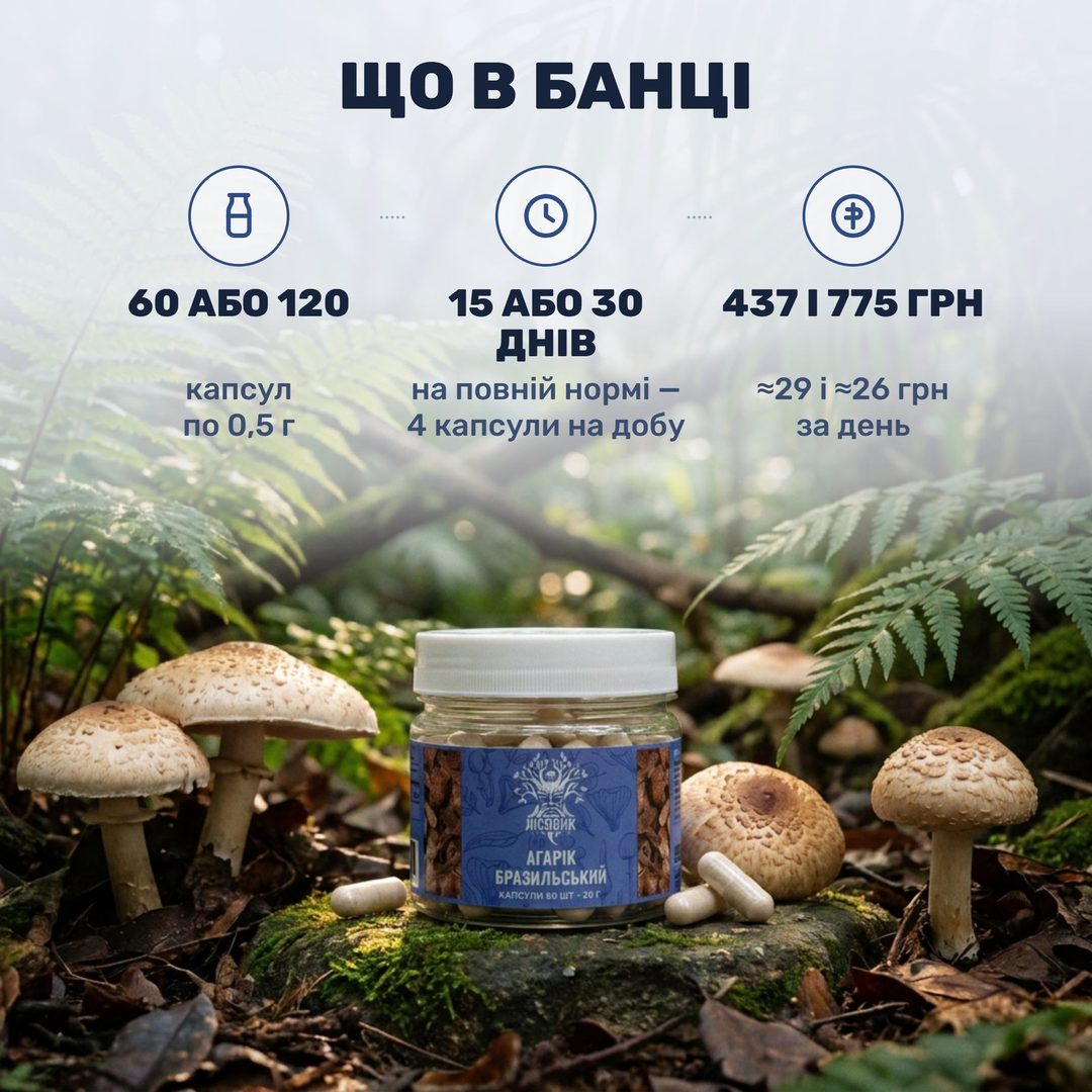 Агарік бразильський у капсулах Лісовик — банка й капсули серед лісових грибів