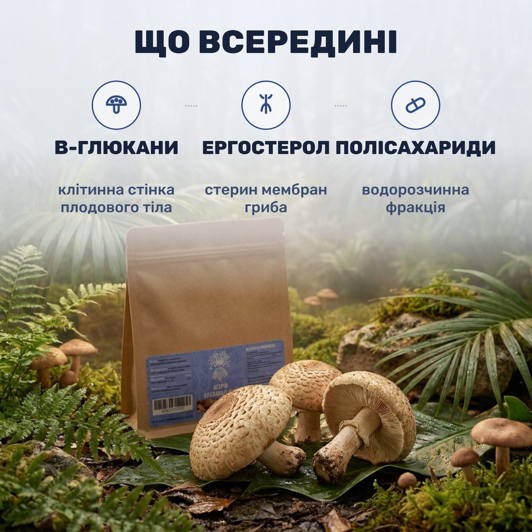 Крафтова пачка агарика бразильського Лісовик серед лісової зелені й грибів
