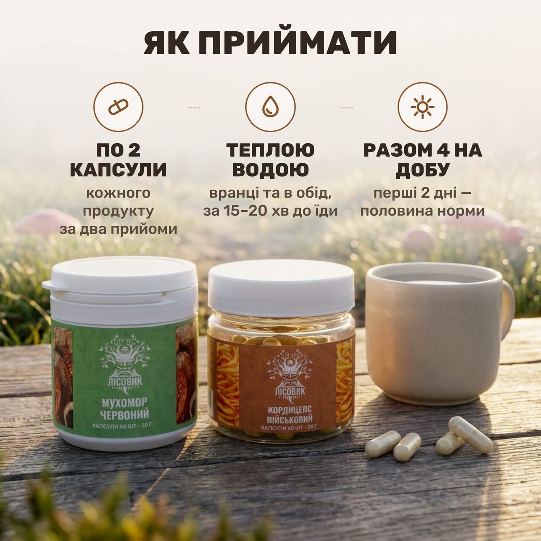 Як приймати курс «Активний день» Лісовик: банки мухомора й кордицепса, чашка теплої води та капсули