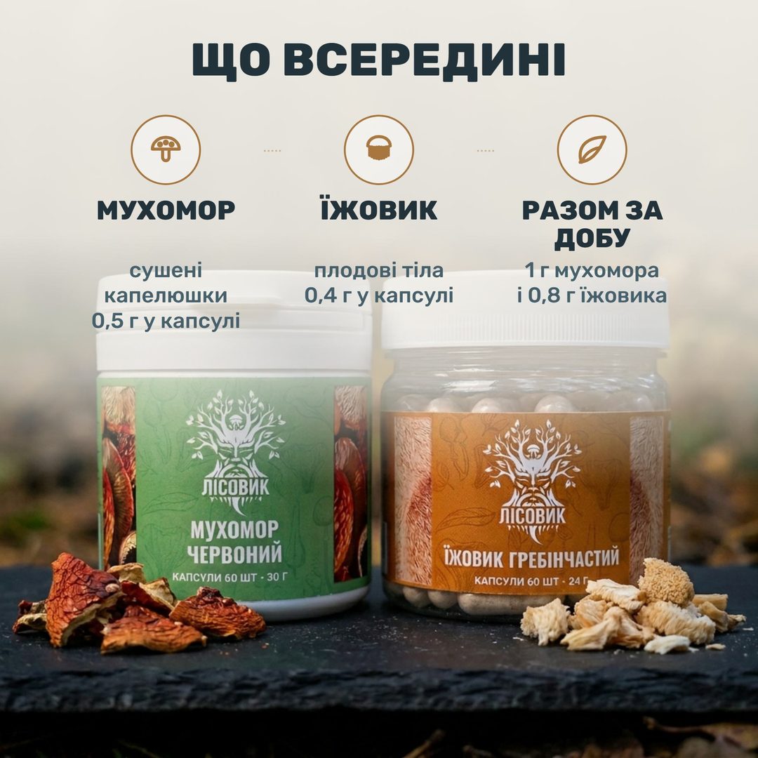 Дві банки курсу «Антистрес» від Лісовик: капсули мухомора червоного та їжовика гребінчастого поряд із сушеними капелюшками
