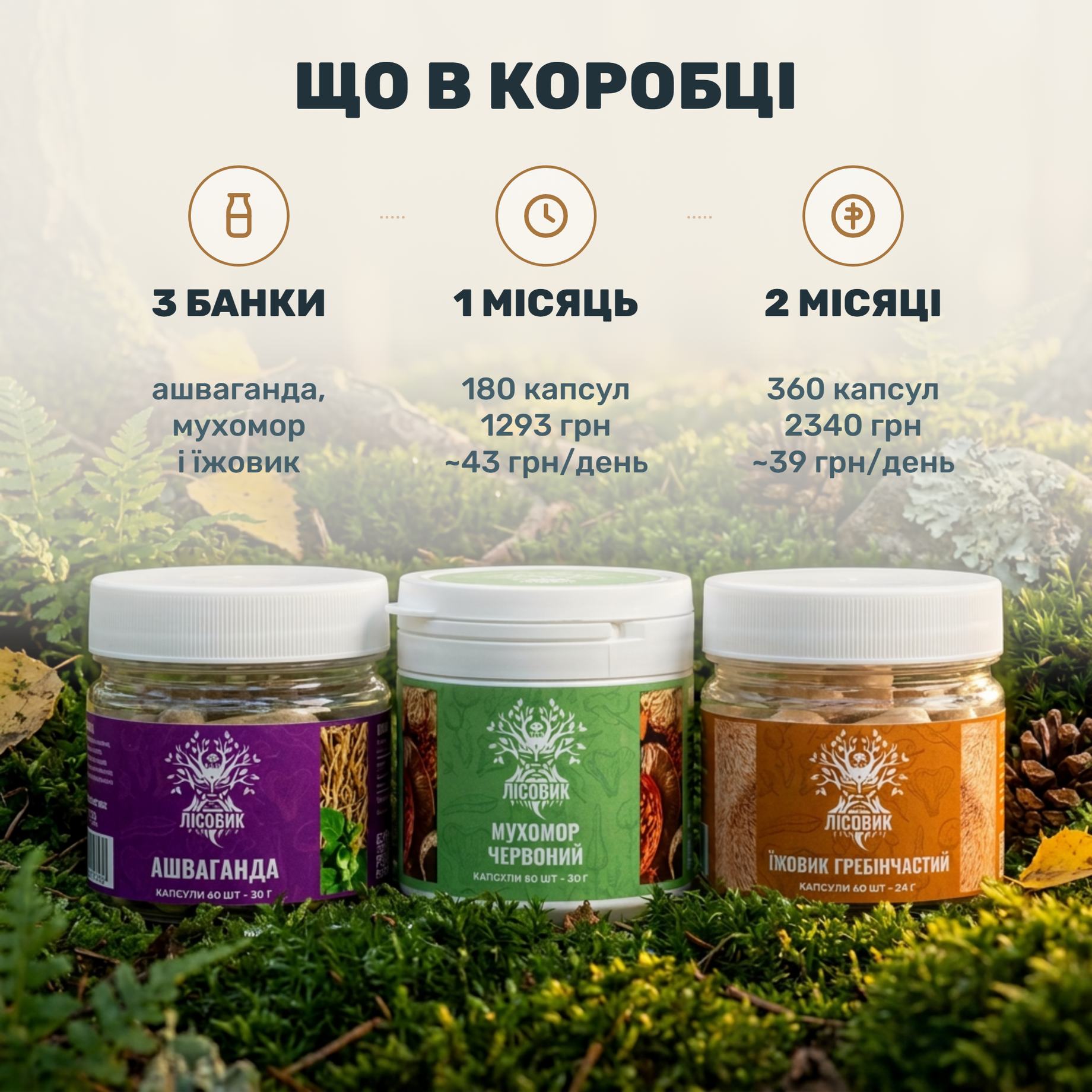 Курс Лісовик «Антистресс»: три банки рядом — мухомор красный, ашваганда и ежовик гребенчатый