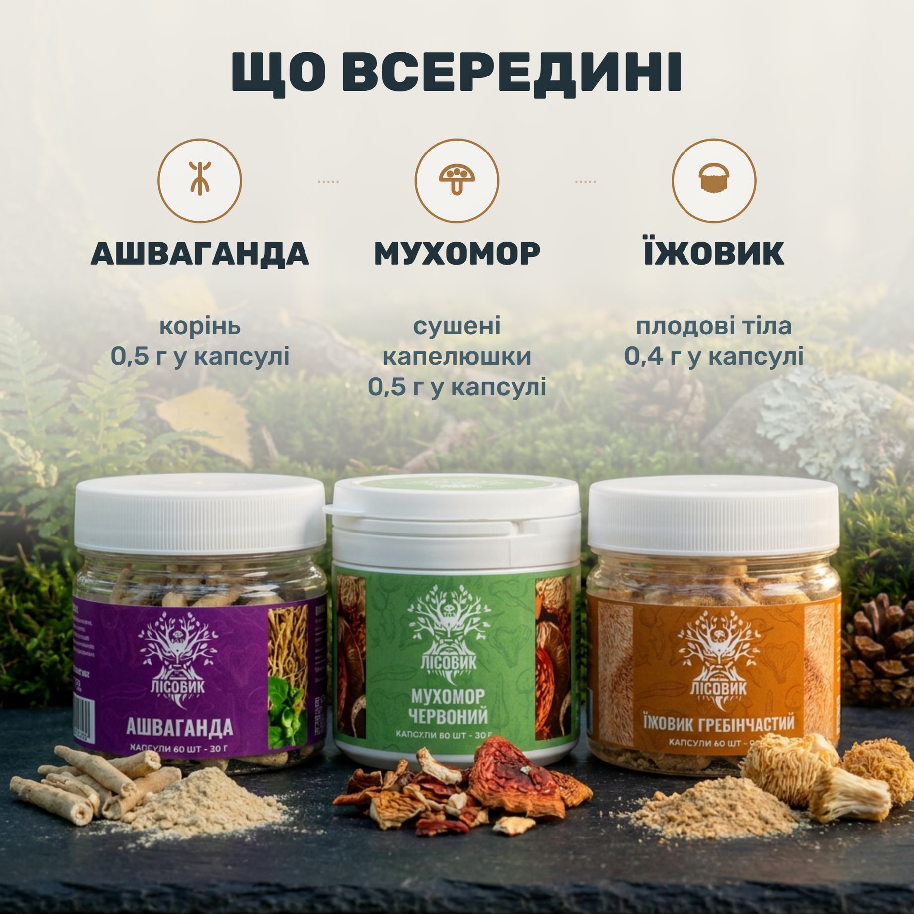 Три банки курса «Антистресс» от Лісовик — красный мухомор, ашваганда и ежовик гребенчатый
