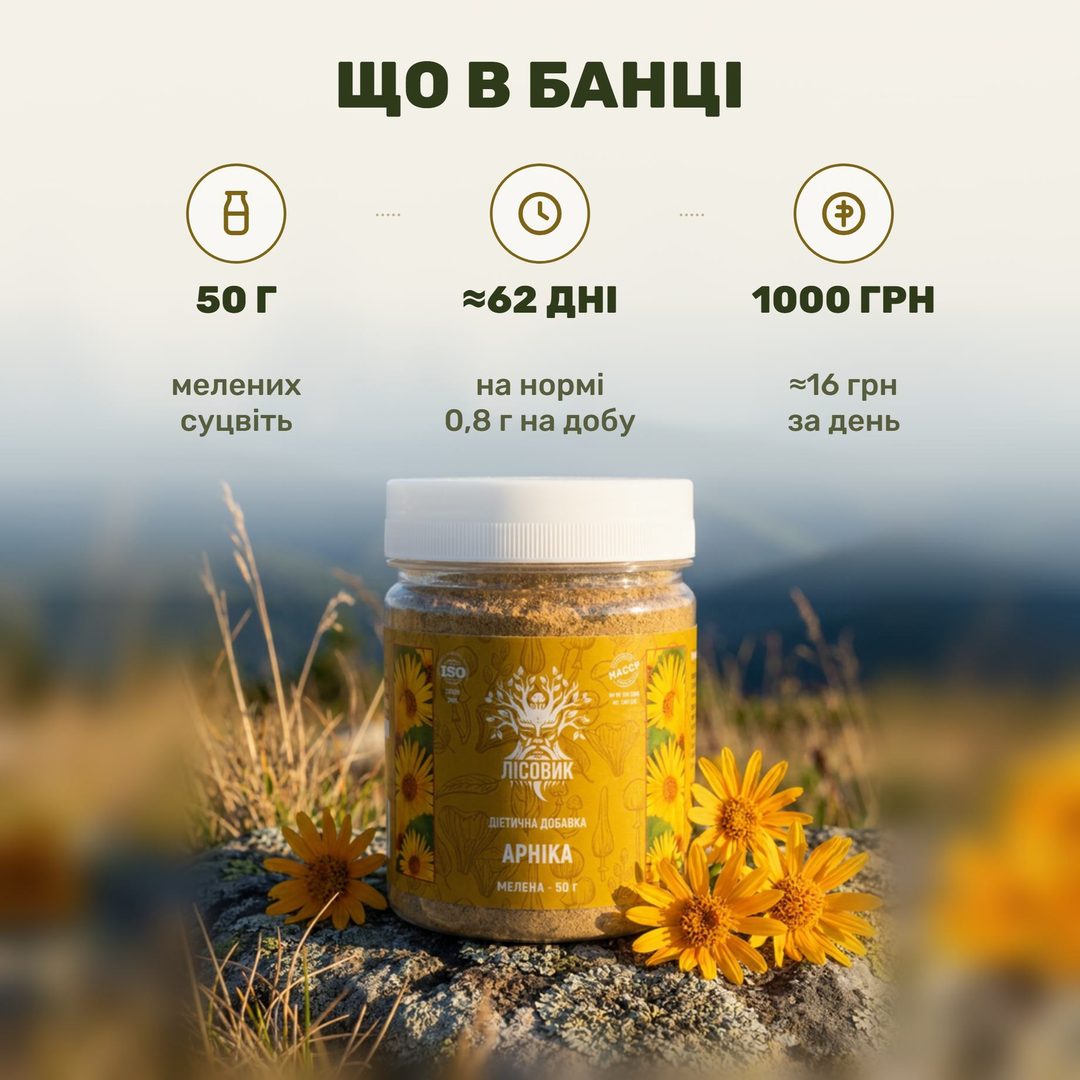 Жёлто-оранжевый порошок цветов арники Лісовик и сухой цветок рядом
