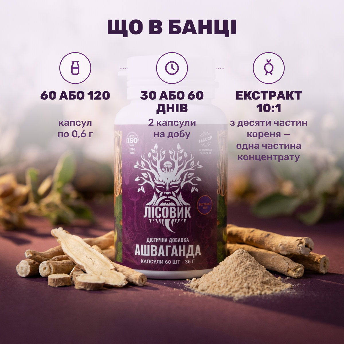 Банка ашваганди Лісовик, екстракт 10:1 у капсулах, поряд із коренем Withania somnifera