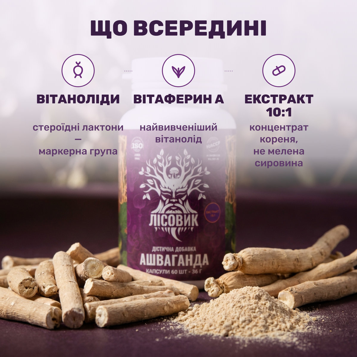 Корінь ашваганди Withania somnifera поряд із капсулами Лісовик