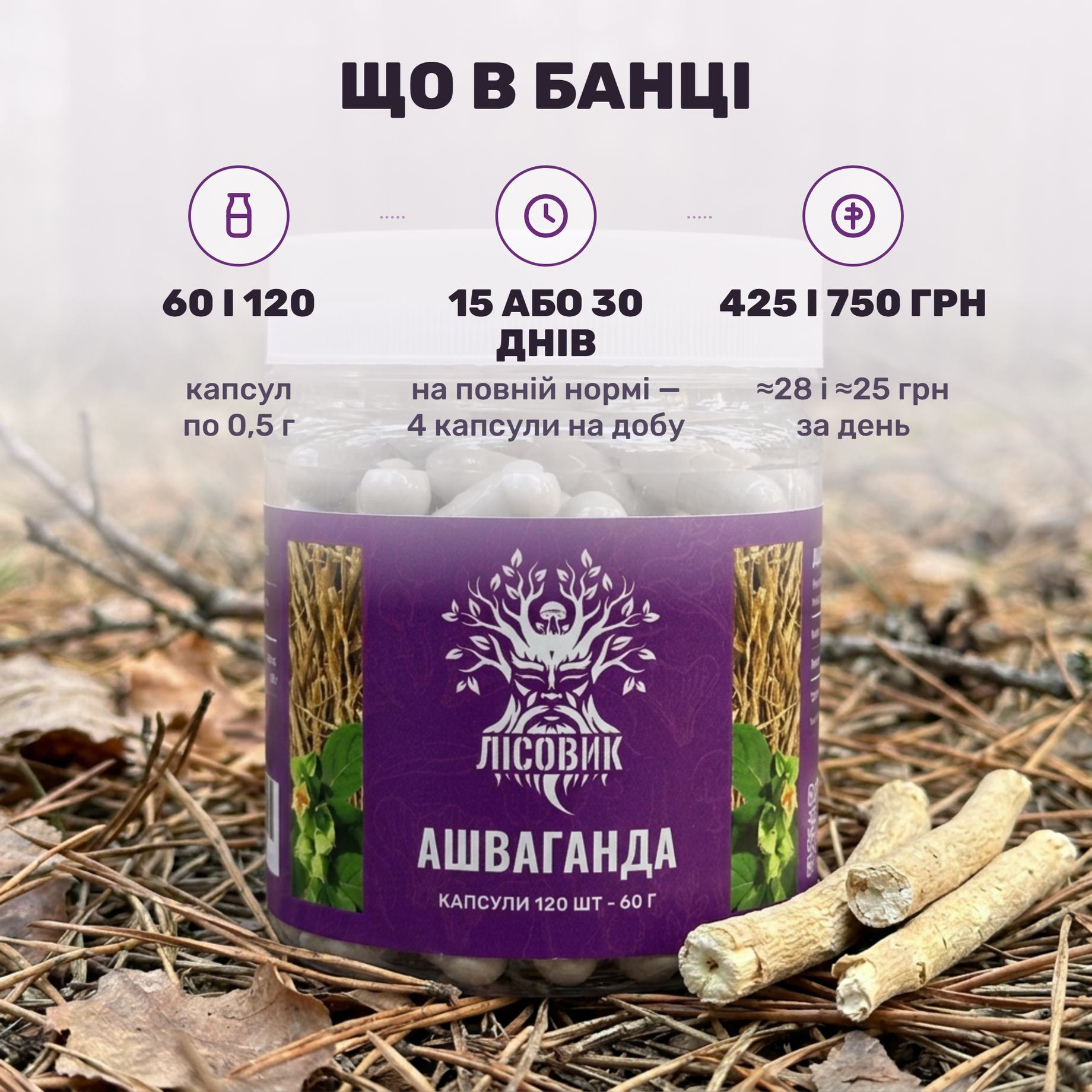 Банка ашваганди Лісовик: капсули по 0,5 г з меленим коренем Withania somnifera