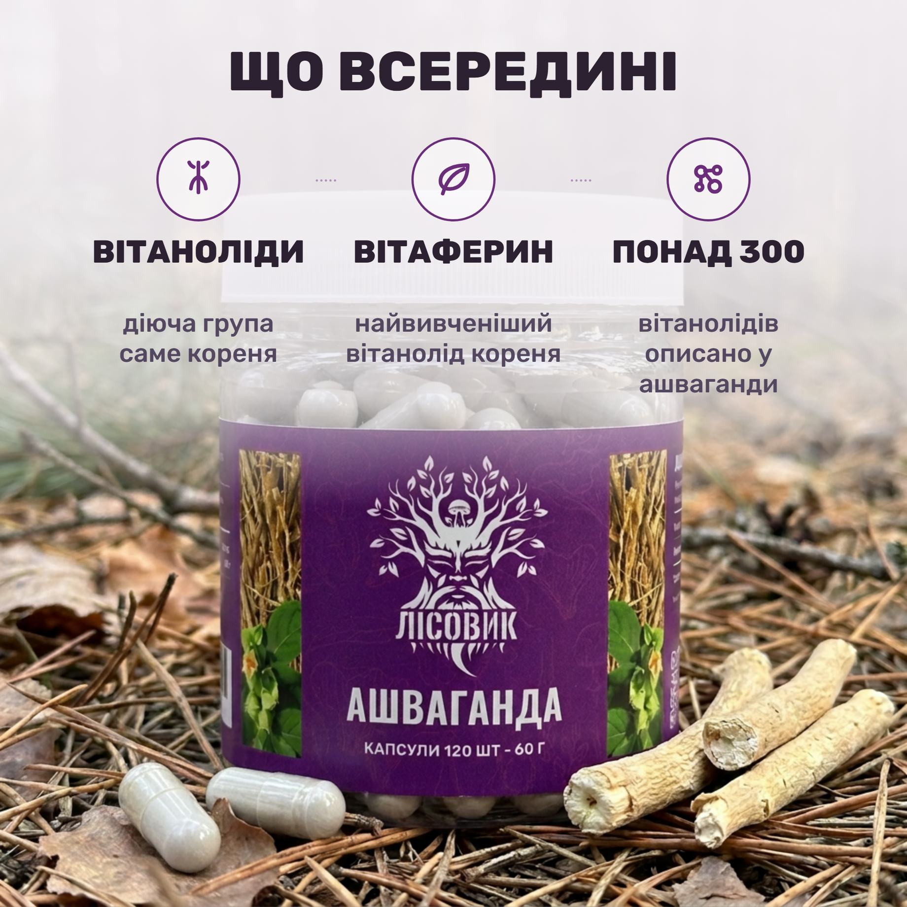 Мелений корінь ашваганди Withania somnifera і капсули 0,5 г поруч із банкою Лісовик