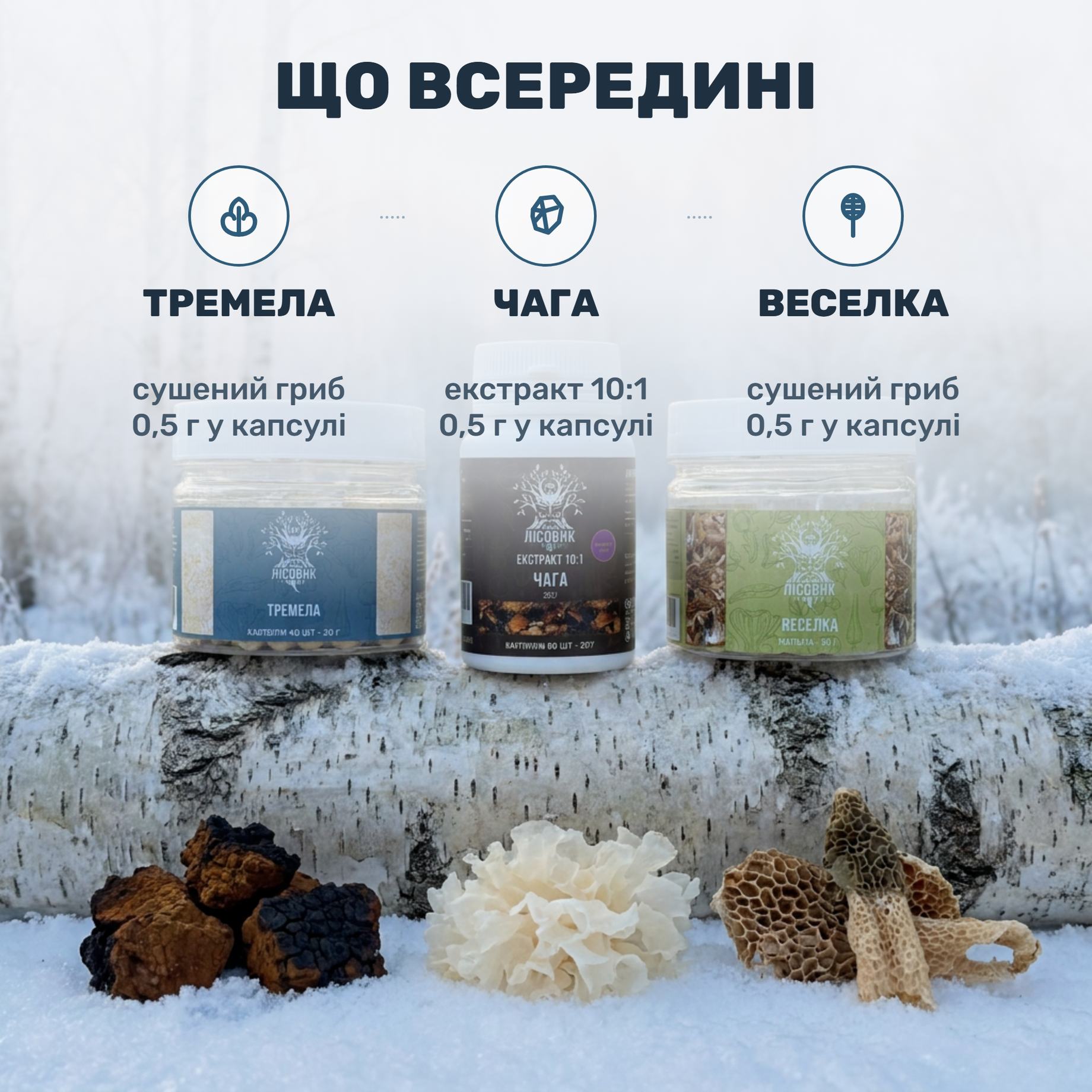Три банки курсу Beauty Glow від Лісовик: чага-екстракт, тремела і веселка