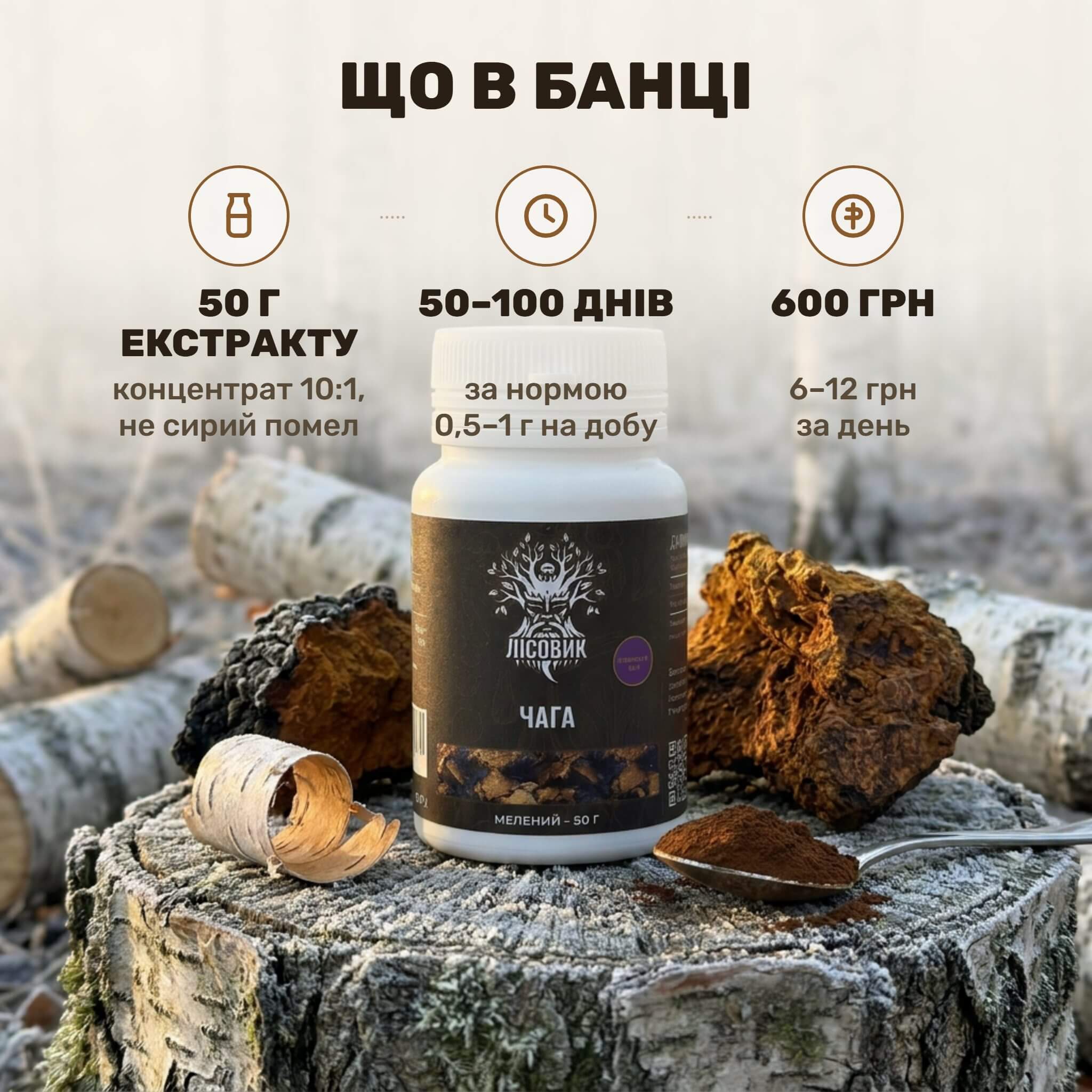 Чага берёзовая, экстракт 10:1 молотый Лісовик — банка 50 г тёмно-коричневого порошка, ложка и стакан тёплой воды возле куска чёрной чаги на берёзовой коре