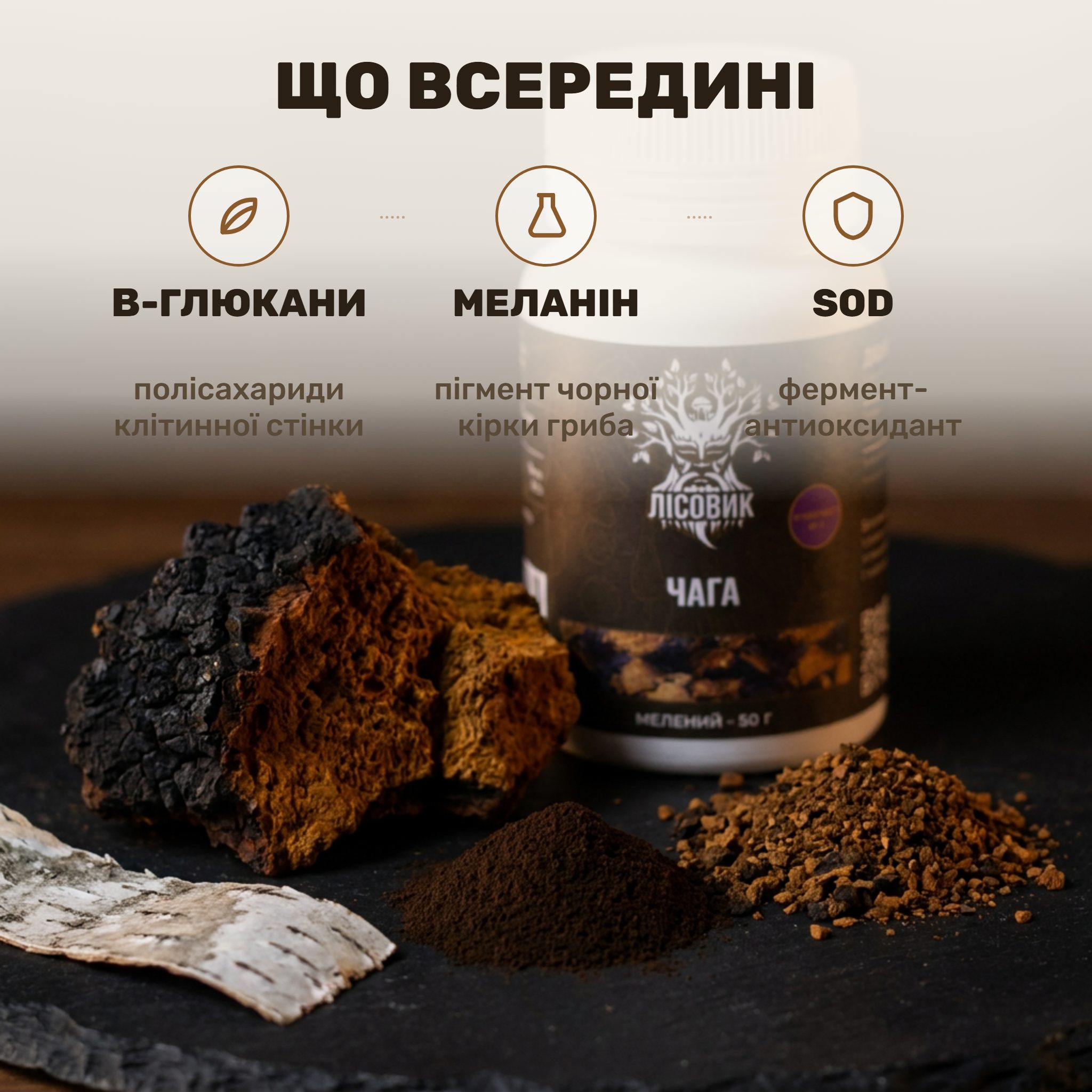 Кусок чёрной берёзовой чаги с рыже-янтарной сердцевиной рядом с банкой молотого экстракта 10:1 Лісовик на фоне белой бересты