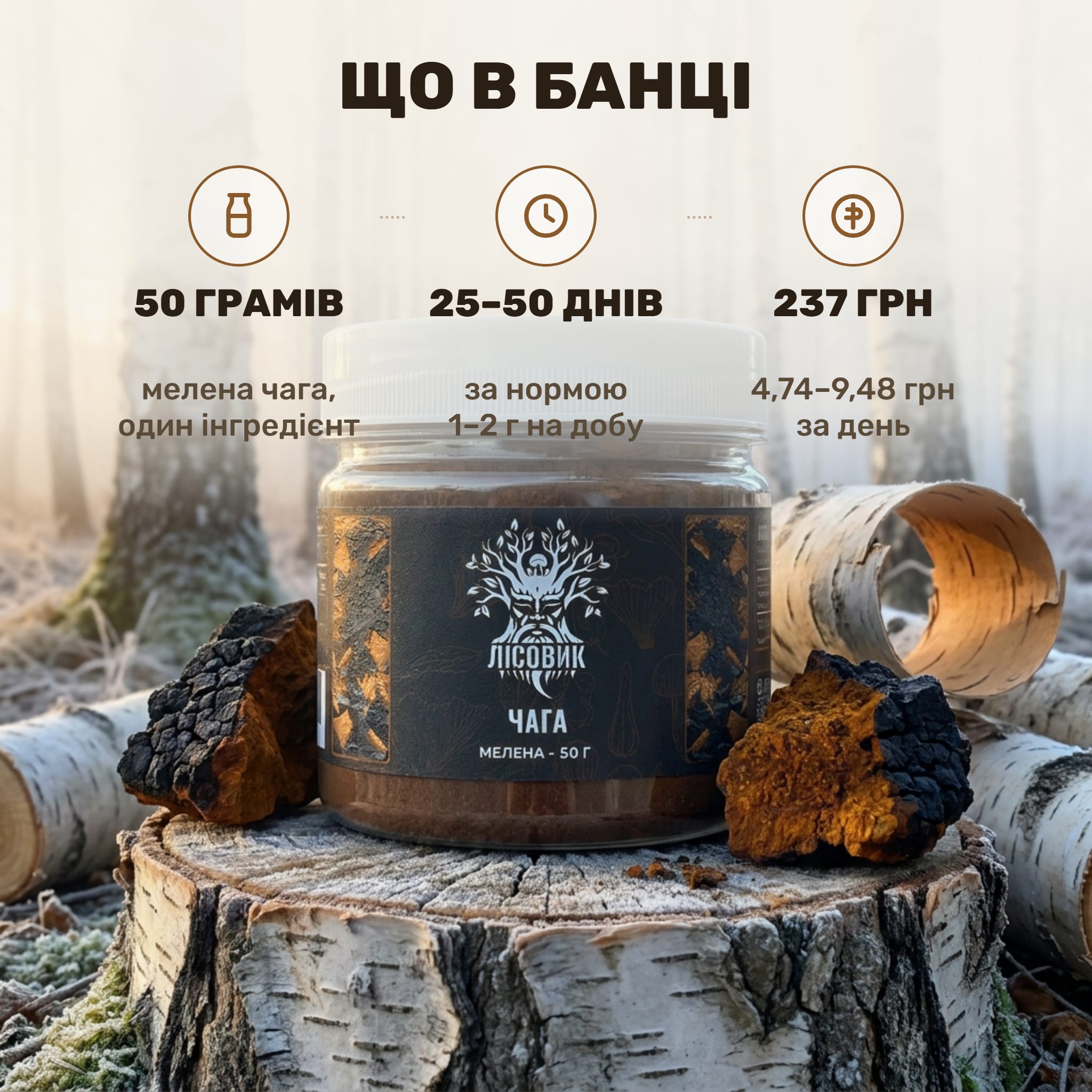 Чага березова мелена Лісовик — банка 50 г темного грибного порошку і ложка поряд