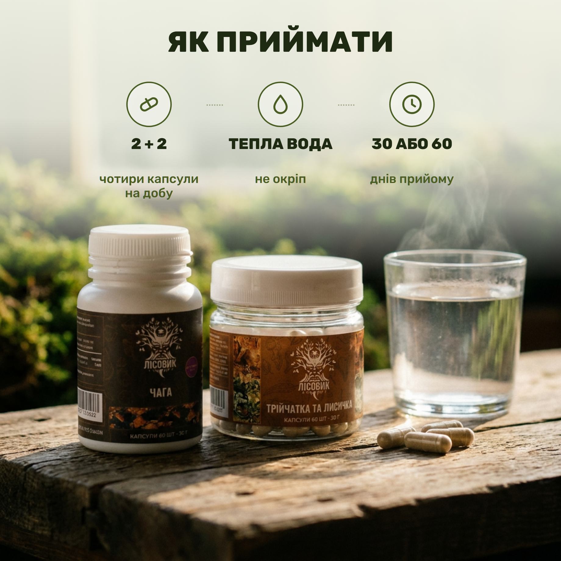 Две банки курса Лісовик: четыре капсулы в день, 30 или 60 дней приёма