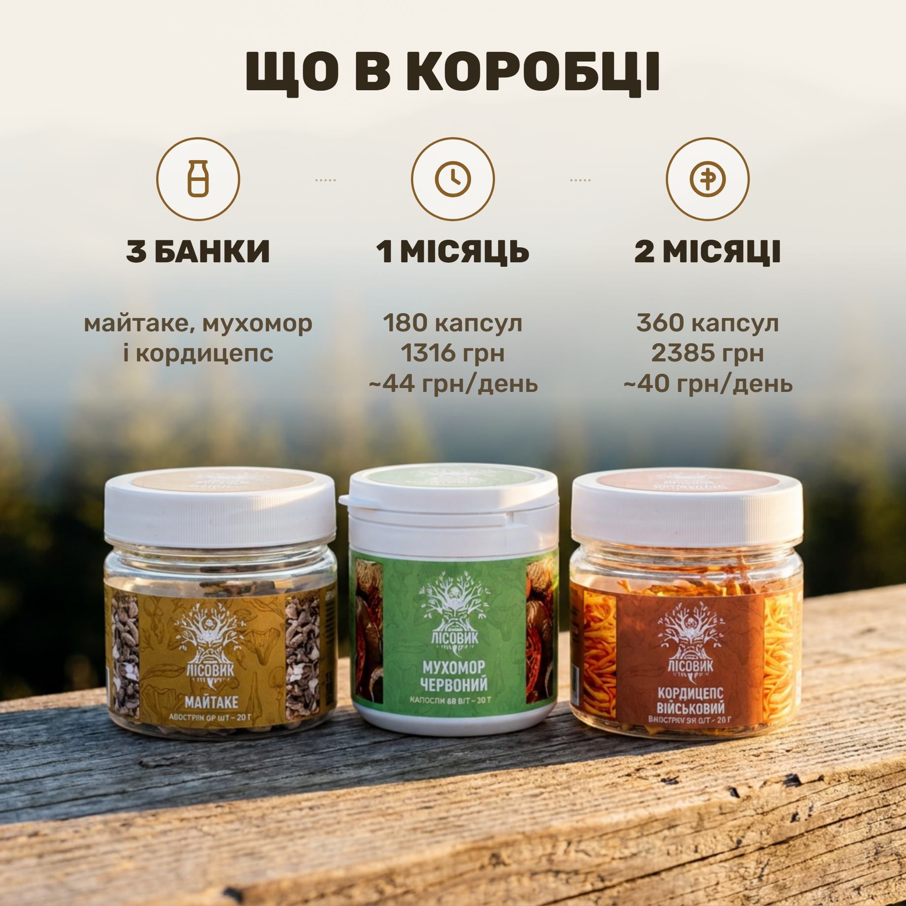 Курс Лісовик «ENERGY»: банки мухомора красного, кордицепса и майтаке