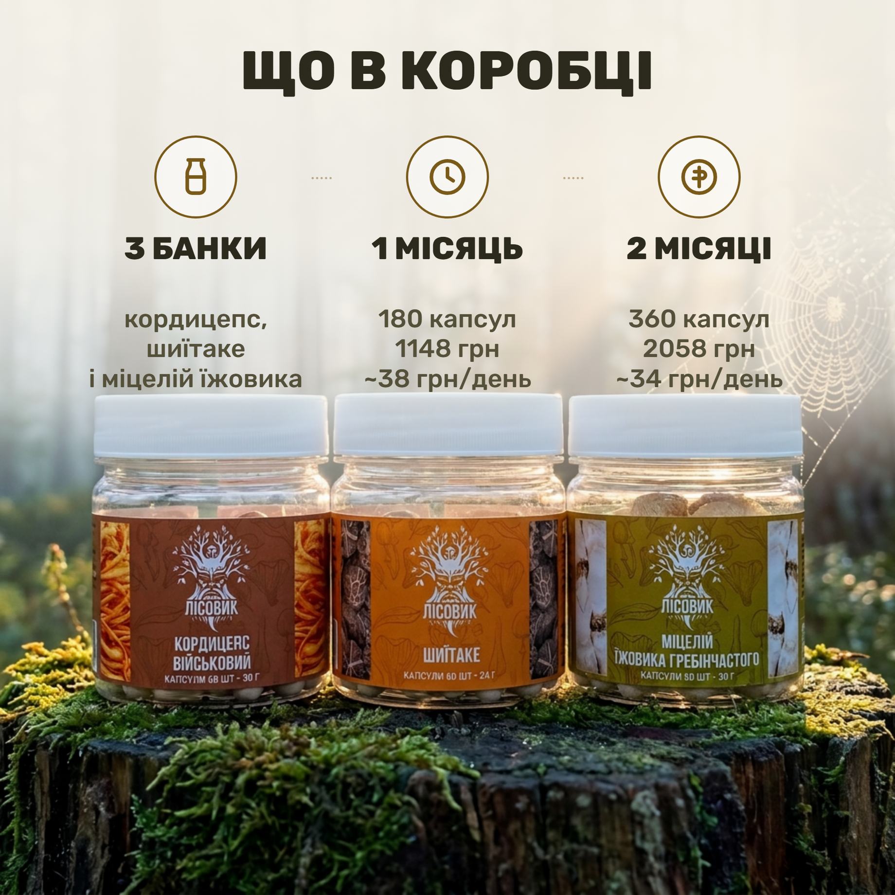 Курс Focus Flow Лісовик: банки кордицепса, шиитаке и мицелия ежовика