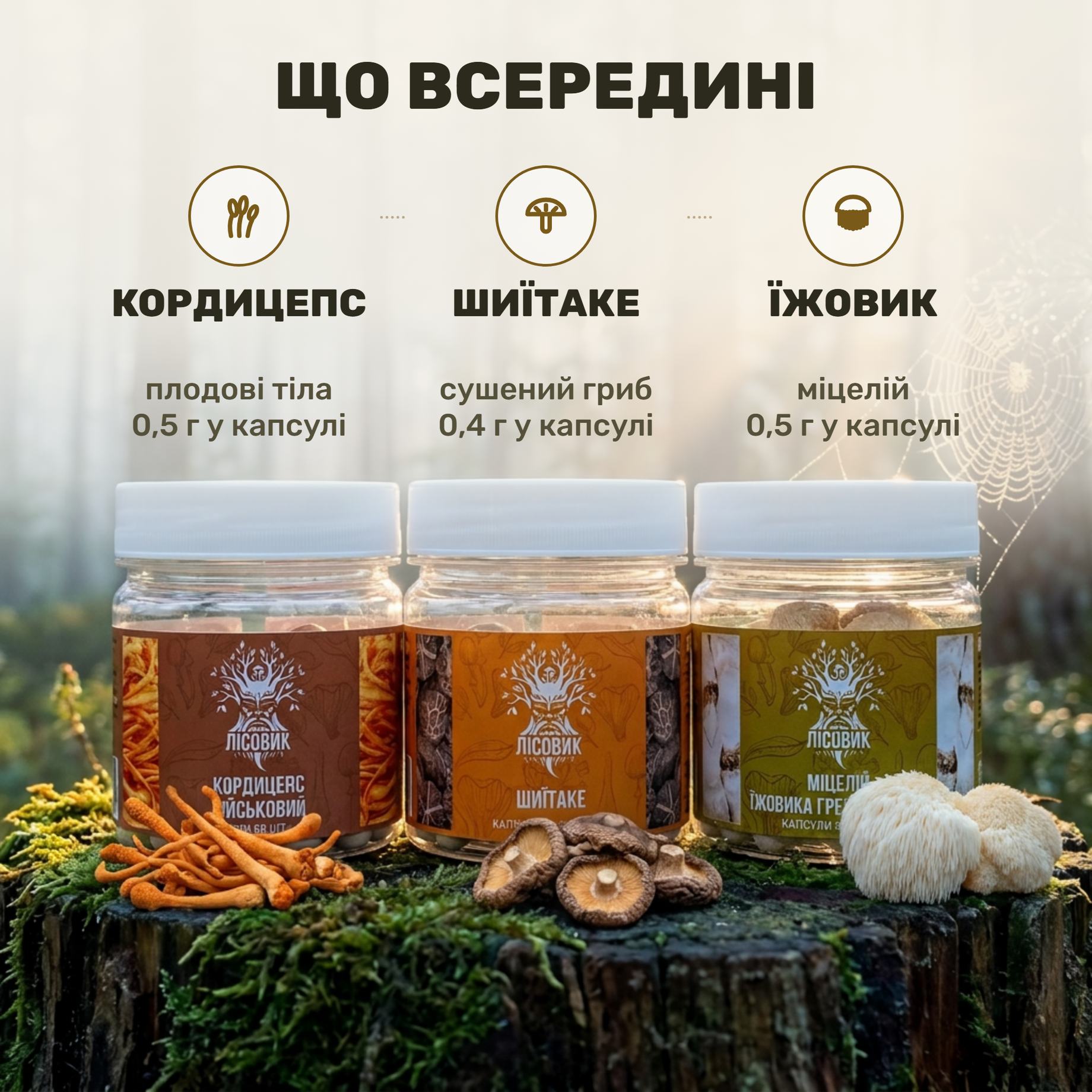 Три банки курса Focus Flow от Лісовик: кордицепс военный, шиитаке и мицелий ежовика