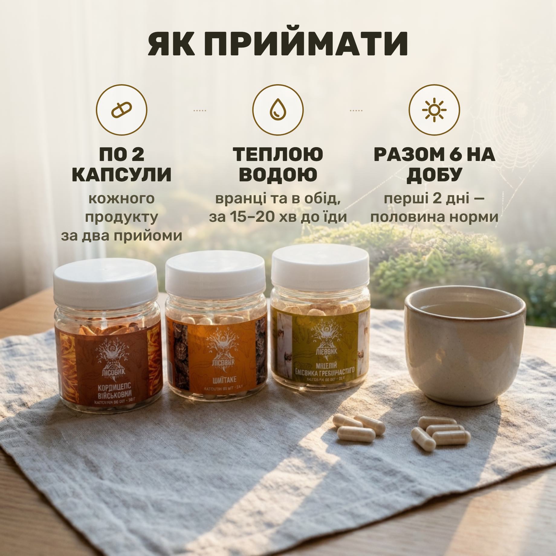 Три банки курса Focus Flow Лісовик — кордицепс, шиитаке и мицелий ежовика