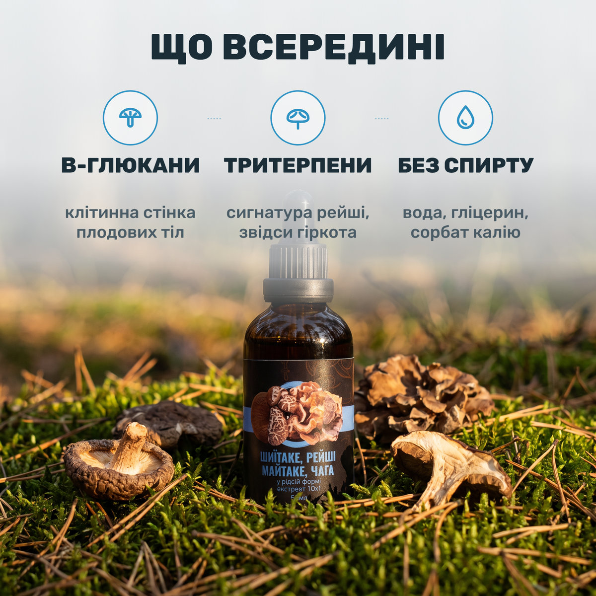 Піпетка з краплею рідкого екстракту GASTRO над темним флаконом Лісовик