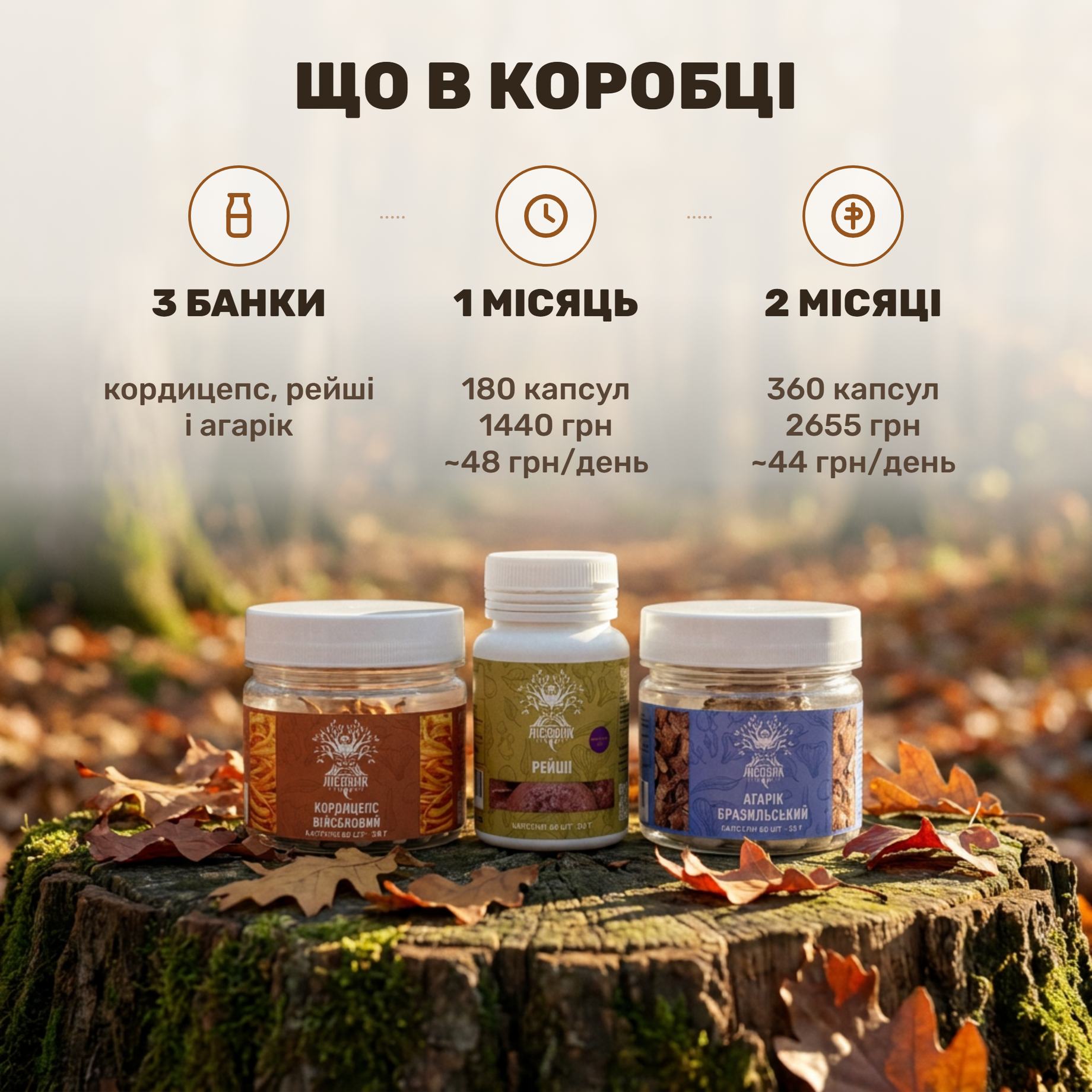 Курс Heart Power Лісовик: три банки капсул — кордицепс, рейші та агарік бразильський