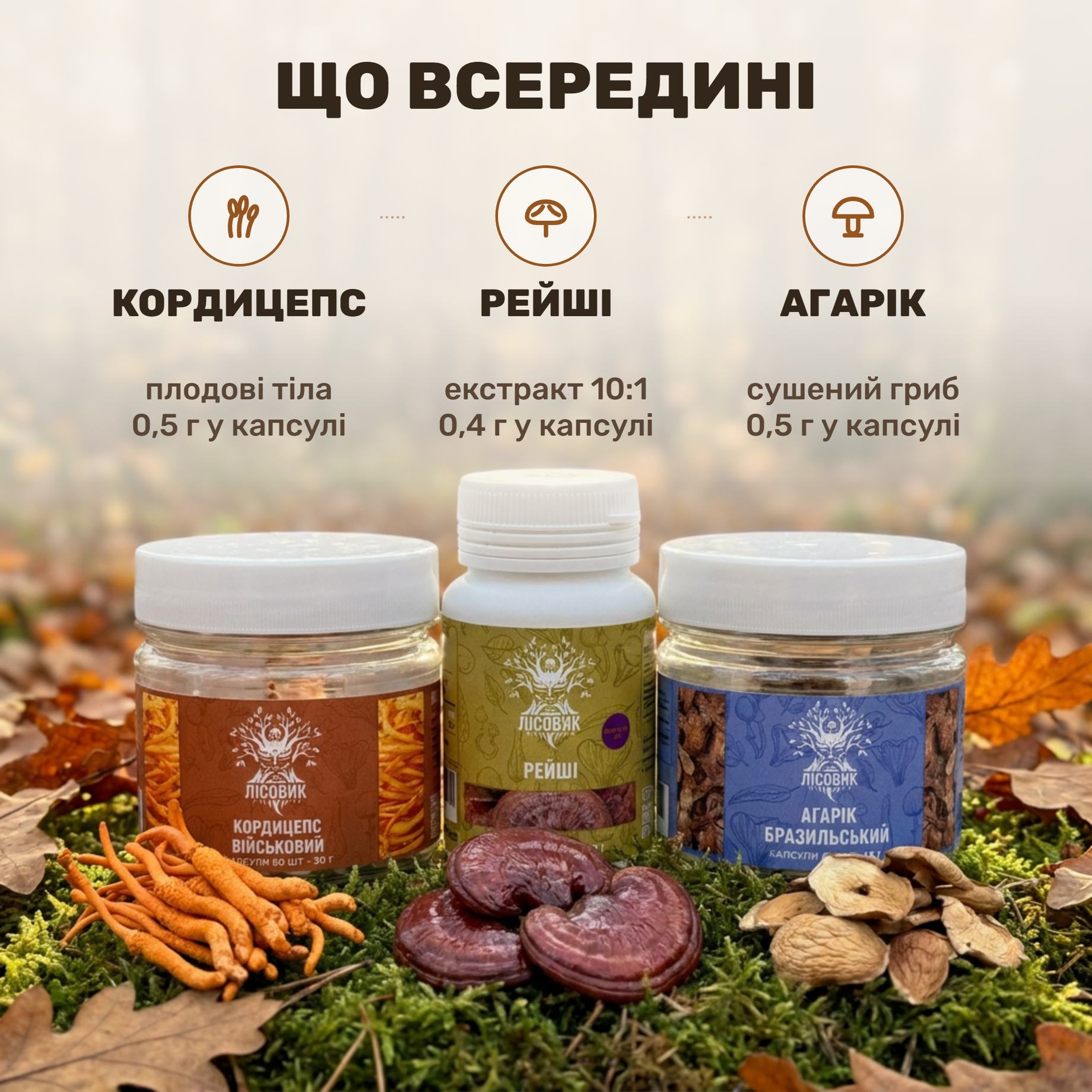 Банки кордицепса, рейші й агарика з набору Heart Power Лісовик на моху