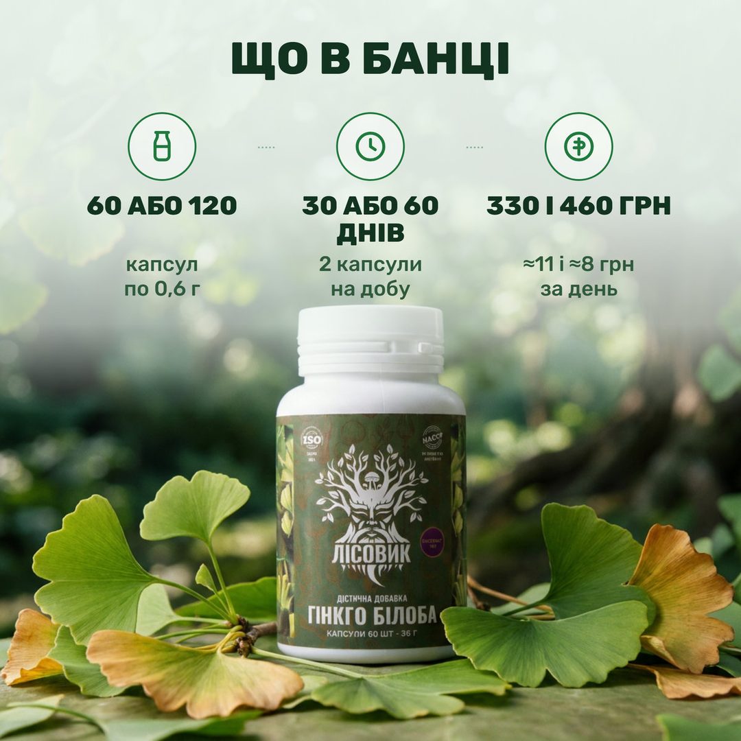 Банка гинкго билоба Лісовик в капсулах рядом с веерными листьями Ginkgo biloba
