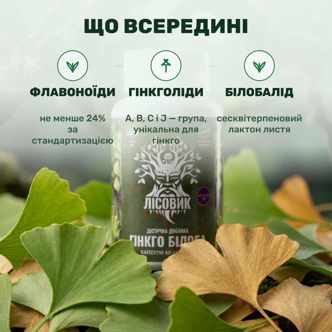 Веерные листья гинкго билоба рядом с капсулами Лісовик