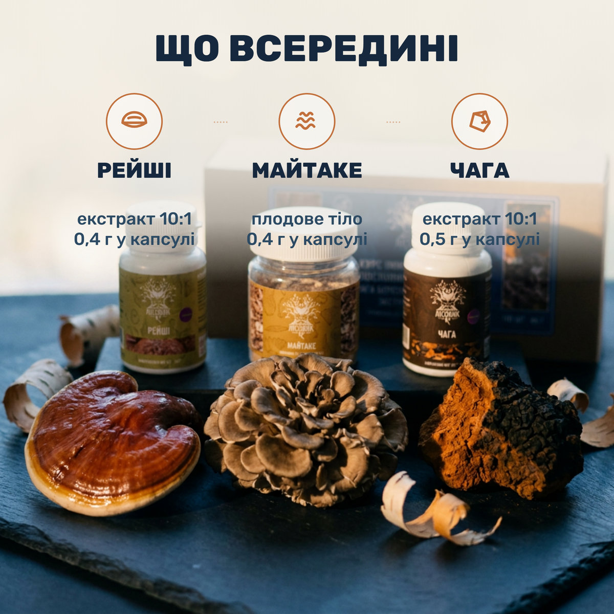 Рейши, майтаке и чага — курс Immunity Guard от Лісовик